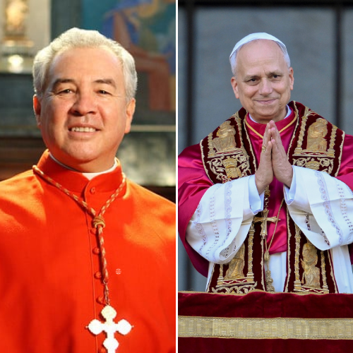 Cardeal que conversou com Leão XIV antes da última votação relata as palavras de humildade do papa