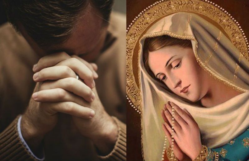 Oração que o Papa Francisco faz à Virgem Maria durante os momentos de desespero