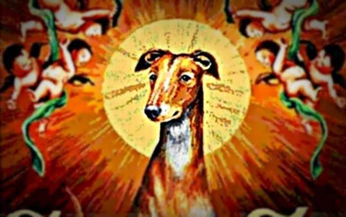 Um cachorro santo? Conheça a estranha história de São Guinefort