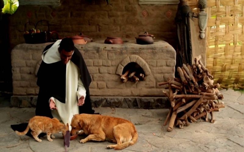 As curiosas histórias de São Martinho de Porres e seu amor pelos animais