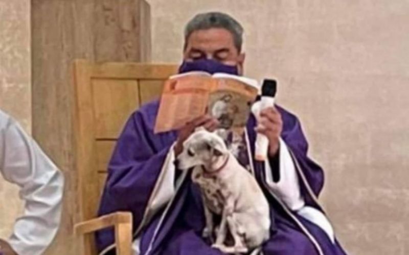Padre viraliza na internet após celebrar missa com cachorrinha no colo