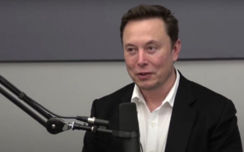 Elon Musk diz que sexo sem procriação é um "absurdo"