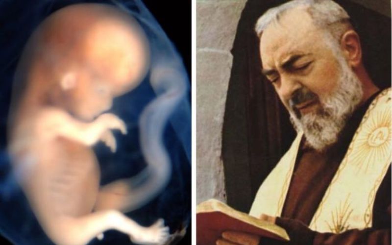 Quando Padre Pio revelou a uma mulher que ela poderia ter dado a luz a um futuro cardeal