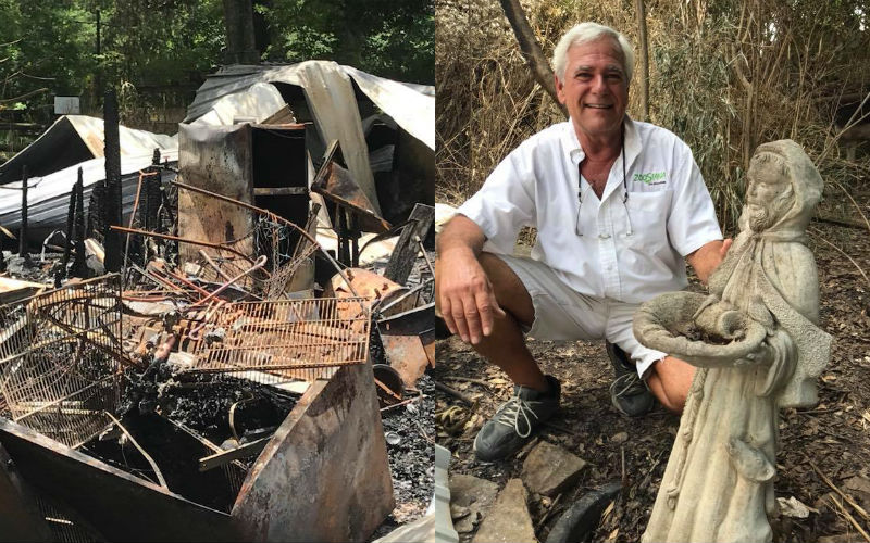 Milagre de São Francisco de Assis salva animais de incêndio em zoológico